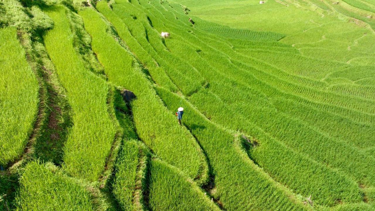 Pu Luong Eco Garden Otel Dış mekan fotoğraf