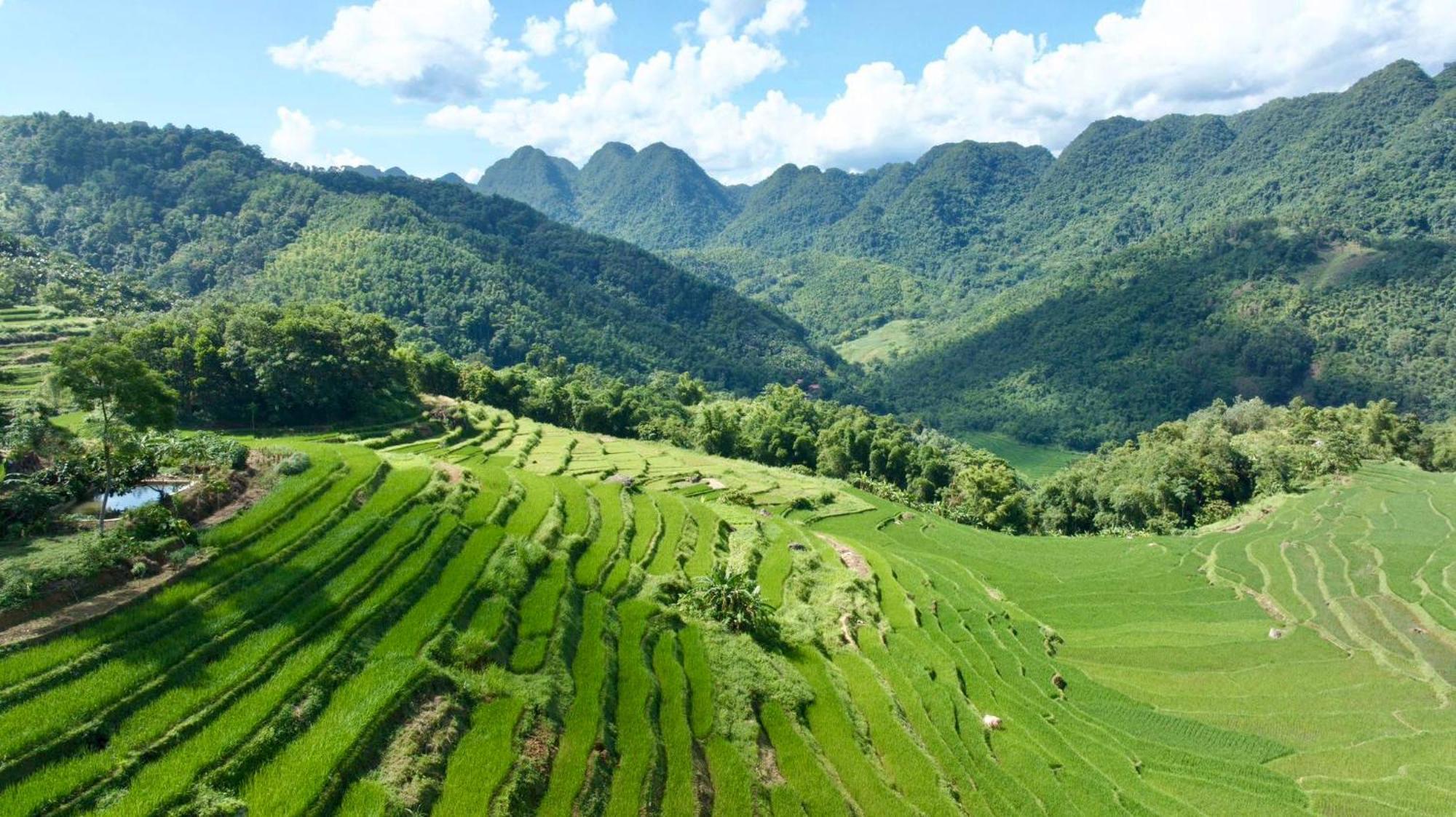 Pu Luong Eco Garden Otel Dış mekan fotoğraf